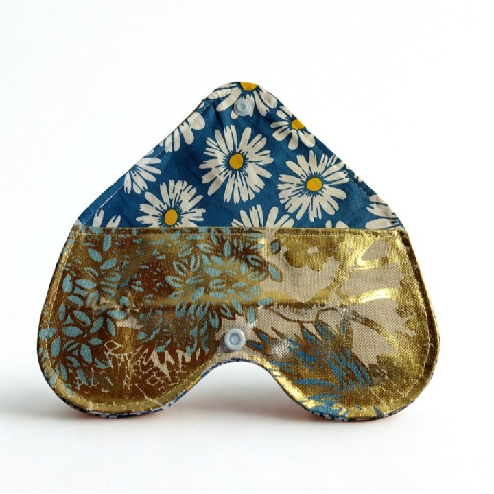 Etui a Lunette Doré et Bleu
